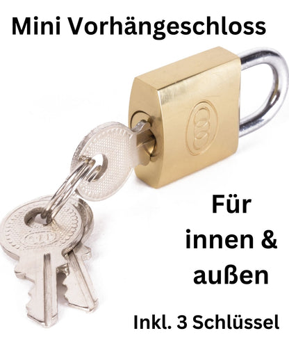 Mini Vorhängeschloss Koffer Spind Schloss Bügelschloss Hangschloss 20mm