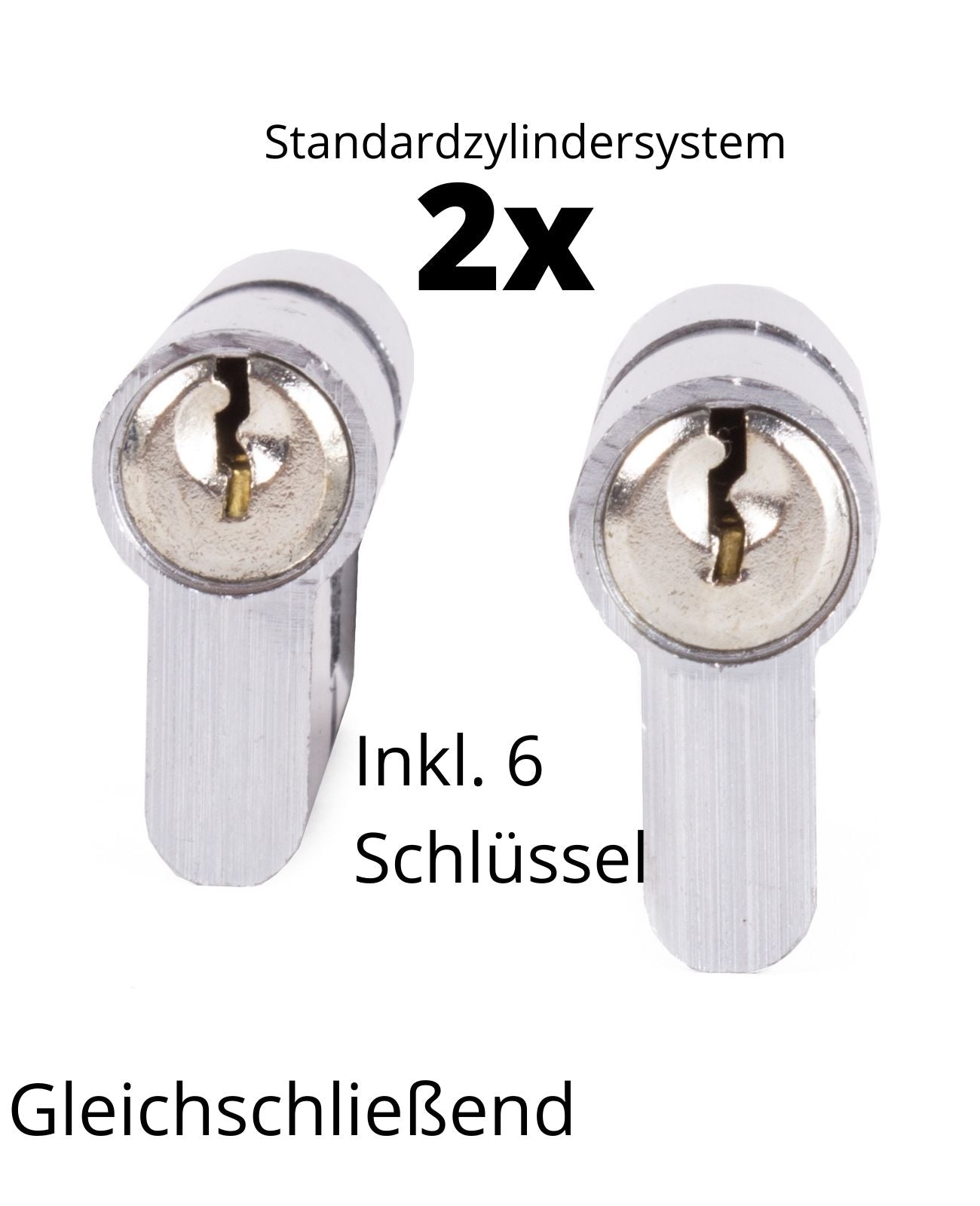 2x Schließzylinder Zylinderschloss Einbauschloss Gleichschliessend 60mm