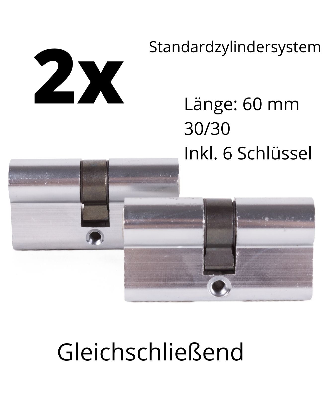2x Schließzylinder Zylinderschloss Einbauschloss Gleichschliessend 60mm