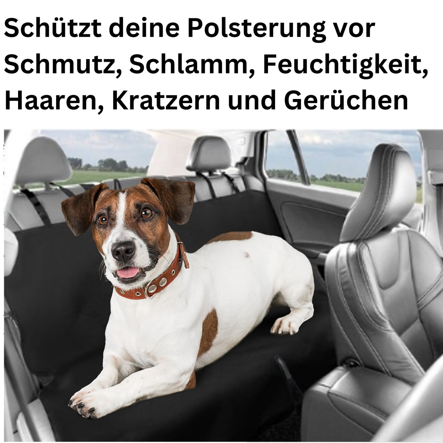 Autoschondecke Rücksitzschutz Hundedecke Rückbank Wasserfest